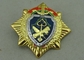 Подгонянные значки награды эмали значков сувенира войск трудные