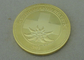 Монетки Confoederatio Helvetica персонализированные, заливка формы сплава цинка с монеткой армии плакировкой золота