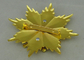 Pin сплава цинка значков эмали сувенира золота 3D синтетический с фибулой