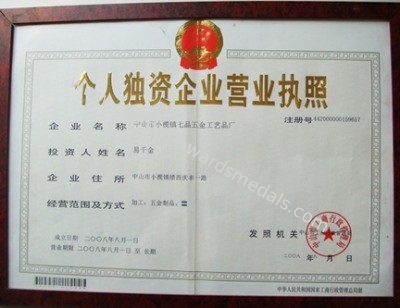 Китай pins centre company ltd Сертификаты